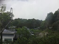 Fifth Avenue (D10), Detached #466297181